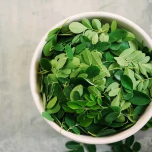 A bowl full of Moringa leaves