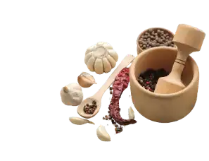 Seasonings with Authentic Indian Spices