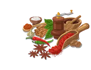 Traditional Range with Authentic Indian Spices